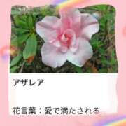 ヒメ日記 2025/11/28 20:06 投稿 山波幸 こあくまな熟女たち 上野・御徒町店 (KOAKUMAグループ)