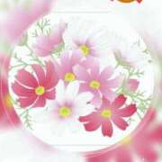 ヒメ日記 2025/11/30 14:55 投稿 山波幸 こあくまな熟女たち 上野・御徒町店 (KOAKUMAグループ)