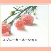 ヒメ日記 2025/12/02 17:13 投稿 山波幸 こあくまな熟女たち 上野・御徒町店 (KOAKUMAグループ)