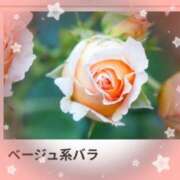 ヒメ日記 2025/12/03 17:46 投稿 山波幸 こあくまな熟女たち 上野・御徒町店 (KOAKUMAグループ)