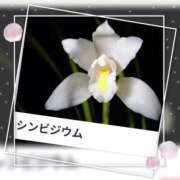 山波幸 本日も、ありがとうございました。 こあくまな熟女たち 上野・御徒町店 (KOAKUMAグループ)