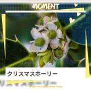 ヒメ日記 2025/12/16 17:01 投稿 山波幸 こあくまな熟女たち 上野・御徒町店 (KOAKUMAグループ)