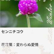 ヒメ日記 2025/12/24 18:15 投稿 山波幸 こあくまな熟女たち 上野・御徒町店 (KOAKUMAグループ)