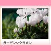 ヒメ日記 2025/12/26 18:21 投稿 山波幸 こあくまな熟女たち 上野・御徒町店 (KOAKUMAグループ)