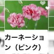 ヒメ日記 2026/01/06 17:36 投稿 山波幸 こあくまな熟女たち 上野・御徒町店 (KOAKUMAグループ)