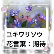 ヒメ日記 2026/01/09 18:06 投稿 山波幸 こあくまな熟女たち 上野・御徒町店 (KOAKUMAグループ)
