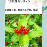 ヒメ日記 2026/01/13 17:10 投稿 山波幸 こあくまな熟女たち 上野・御徒町店 (KOAKUMAグループ)