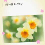 ヒメ日記 2026/01/14 17:18 投稿 山波幸 こあくまな熟女たち 上野・御徒町店 (KOAKUMAグループ)