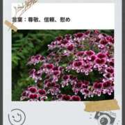 ヒメ日記 2026/01/27 17:11 投稿 山波幸 こあくまな熟女たち 上野・御徒町店 (KOAKUMAグループ)