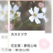 ヒメ日記 2026/02/03 17:15 投稿 山波幸 こあくまな熟女たち 上野・御徒町店 (KOAKUMAグループ)