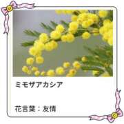 ヒメ日記 2026/02/17 17:11 投稿 山波幸 こあくまな熟女たち 上野・御徒町店 (KOAKUMAグループ)