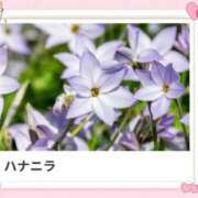 ヒメ日記 2026/02/23 17:10 投稿 山波幸 こあくまな熟女たち 上野・御徒町店 (KOAKUMAグループ)