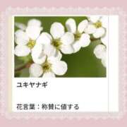 ヒメ日記 2026/02/27 17:31 投稿 山波幸 こあくまな熟女たち 上野・御徒町店 (KOAKUMAグループ)