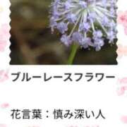 ヒメ日記 2026/03/10 17:11 投稿 山波幸 こあくまな熟女たち 上野・御徒町店 (KOAKUMAグループ)