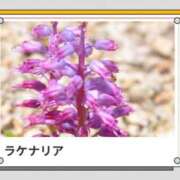ヒメ日記 2026/03/11 17:56 投稿 山波幸 こあくまな熟女たち 上野・御徒町店 (KOAKUMAグループ)