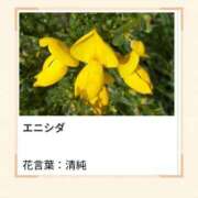 ヒメ日記 2026/03/13 17:17 投稿 山波幸 こあくまな熟女たち 上野・御徒町店 (KOAKUMAグループ)