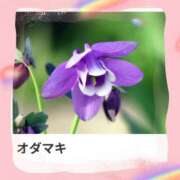 ヒメ日記 2026/04/01 17:16 投稿 山波幸 こあくまな熟女たち 上野・御徒町店 (KOAKUMAグループ)