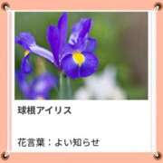 山波幸 本日も、ありがとう。 こあくまな熟女たち 上野・御徒町店 (KOAKUMAグループ)