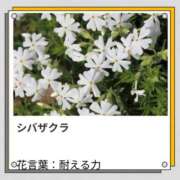 ヒメ日記 2026/04/08 17:19 投稿 山波幸 こあくまな熟女たち 上野・御徒町店 (KOAKUMAグループ)