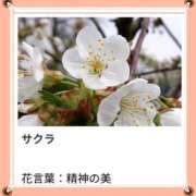 ヒメ日記 2026/04/13 17:15 投稿 山波幸 こあくまな熟女たち 上野・御徒町店 (KOAKUMAグループ)