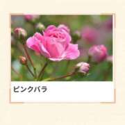 ヒメ日記 2026/04/15 17:21 投稿 山波幸 こあくまな熟女たち 上野・御徒町店 (KOAKUMAグループ)