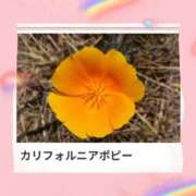 ヒメ日記 2026/04/22 17:13 投稿 山波幸 こあくまな熟女たち 上野・御徒町店 (KOAKUMAグループ)