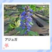 ヒメ日記 2026/04/26 17:12 投稿 山波幸 こあくまな熟女たち 上野・御徒町店 (KOAKUMAグループ)