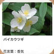 ヒメ日記 2026/04/28 17:08 投稿 山波幸 こあくまな熟女たち 上野・御徒町店 (KOAKUMAグループ)