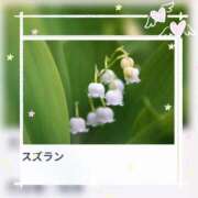 ヒメ日記 2026/05/01 17:56 投稿 山波幸 こあくまな熟女たち 上野・御徒町店 (KOAKUMAグループ)