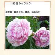 ヒメ日記 2026/05/13 17:12 投稿 山波幸 こあくまな熟女たち 上野・御徒町店 (KOAKUMAグループ)