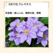 ヒメ日記 2026/05/17 17:15 投稿 山波幸 こあくまな熟女たち 上野・御徒町店 (KOAKUMAグループ)