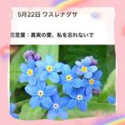ヒメ日記 2026/05/22 17:17 投稿 山波幸 こあくまな熟女たち 上野・御徒町店 (KOAKUMAグループ)