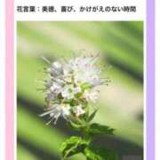 ヒメ日記 2026/05/24 17:09 投稿 山波幸 こあくまな熟女たち 上野・御徒町店 (KOAKUMAグループ)
