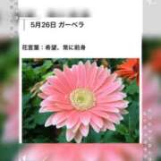 ヒメ日記 2026/05/26 17:11 投稿 山波幸 こあくまな熟女たち 上野・御徒町店 (KOAKUMAグループ)