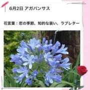 ヒメ日記 2026/06/02 17:54 投稿 山波幸 こあくまな熟女たち 上野・御徒町店 (KOAKUMAグループ)