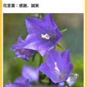 ヒメ日記 2026/06/12 17:06 投稿 山波幸 こあくまな熟女たち 上野・御徒町店 (KOAKUMAグループ)
