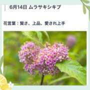 ヒメ日記 2026/06/14 17:16 投稿 山波幸 こあくまな熟女たち 上野・御徒町店 (KOAKUMAグループ)
