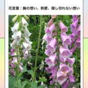 ヒメ日記 2026/06/21 17:07 投稿 山波幸 こあくまな熟女たち 上野・御徒町店 (KOAKUMAグループ)