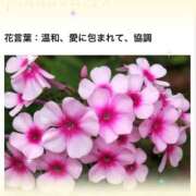 ヒメ日記 2026/07/15 17:35 投稿 山波幸 こあくまな熟女たち 上野・御徒町店 (KOAKUMAグループ)