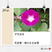ヒメ日記 2026/07/24 17:07 投稿 山波幸 こあくまな熟女たち 上野・御徒町店 (KOAKUMAグループ)