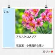 ヒメ日記 2026/08/01 17:42 投稿 山波幸 こあくまな熟女たち 上野・御徒町店 (KOAKUMAグループ)