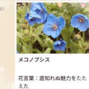 ヒメ日記 2026/08/04 17:11 投稿 山波幸 こあくまな熟女たち 上野・御徒町店 (KOAKUMAグループ)