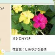 ヒメ日記 2026/08/05 17:16 投稿 山波幸 こあくまな熟女たち 上野・御徒町店 (KOAKUMAグループ)
