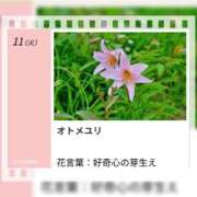 ヒメ日記 2026/08/11 17:37 投稿 山波幸 こあくまな熟女たち 上野・御徒町店 (KOAKUMAグループ)