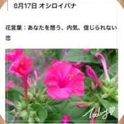 ヒメ日記 2026/08/17 17:46 投稿 山波幸 こあくまな熟女たち 上野・御徒町店 (KOAKUMAグループ)