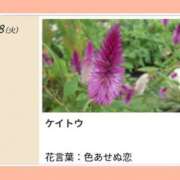 ヒメ日記 2026/09/08 17:14 投稿 山波幸 こあくまな熟女たち 上野・御徒町店 (KOAKUMAグループ)