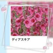 ヒメ日記 2026/09/12 17:12 投稿 山波幸 こあくまな熟女たち 上野・御徒町店 (KOAKUMAグループ)