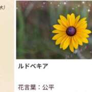 ヒメ日記 2026/09/24 17:27 投稿 山波幸 こあくまな熟女たち 上野・御徒町店 (KOAKUMAグループ)