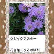 ヒメ日記 2026/10/11 17:10 投稿 山波幸 こあくまな熟女たち 上野・御徒町店 (KOAKUMAグループ)