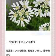 ヒメ日記 2026/10/18 17:14 投稿 山波幸 こあくまな熟女たち 上野・御徒町店 (KOAKUMAグループ)